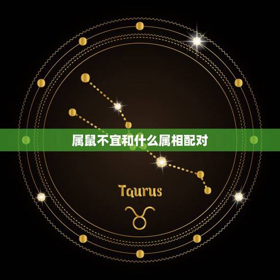 属鼠不宜和什么属相配对,属鼠和什么属相相克 属鼠不宜和什么属相配对,属鼠和什么属相相克