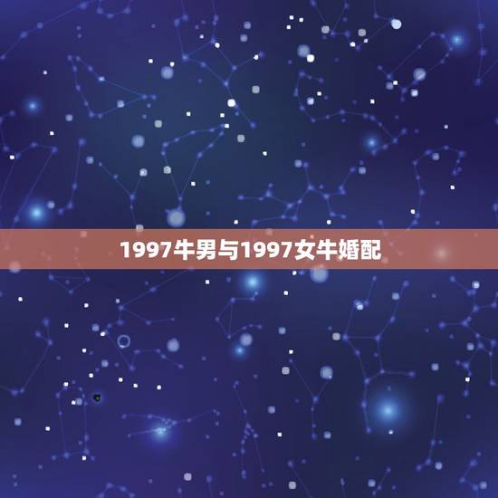 1997牛男与1997女牛婚配，97男牛和2000年女龙的结合