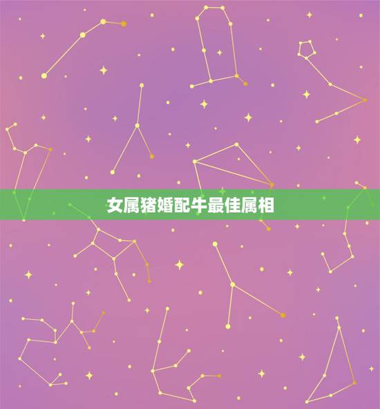 女属猪婚配牛最佳属相,95年属猪的最佳婚配 女属猪婚配牛最佳属相,95年属猪的最佳婚配