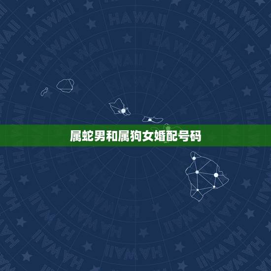 属蛇男和属狗女婚配号码,属蛇和属狗的合作适合吗? 属蛇男和属狗女婚配号码,属蛇和属狗的合作适合吗?