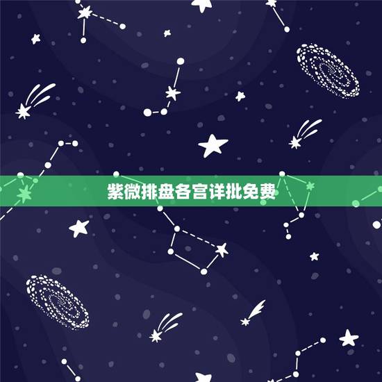 紫微排盘各宫详批免费，命盘免费测算