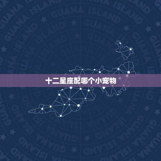 十二星座配哪个小宠物，十二星座适合养什么狗？快告诉我！