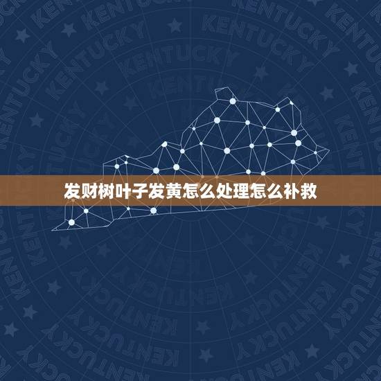 发财树叶子发黄怎么处理怎么补救，家里养的发财树叶子发黄怎么办？