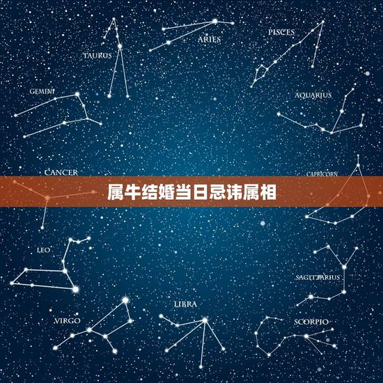 属牛结婚当日忌讳属相，属牛的十一月结婚忌讳啥属相