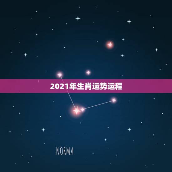 2021年生肖运势运程，十二生肖运程2021年运势每月运程