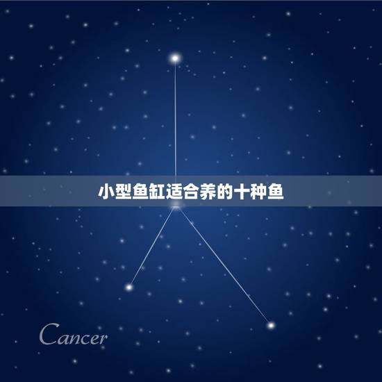 小型鱼缸适合养的十种鱼,小鱼缸养什么鱼最好 小型鱼缸适合养的十种鱼,小鱼缸养什么鱼最好