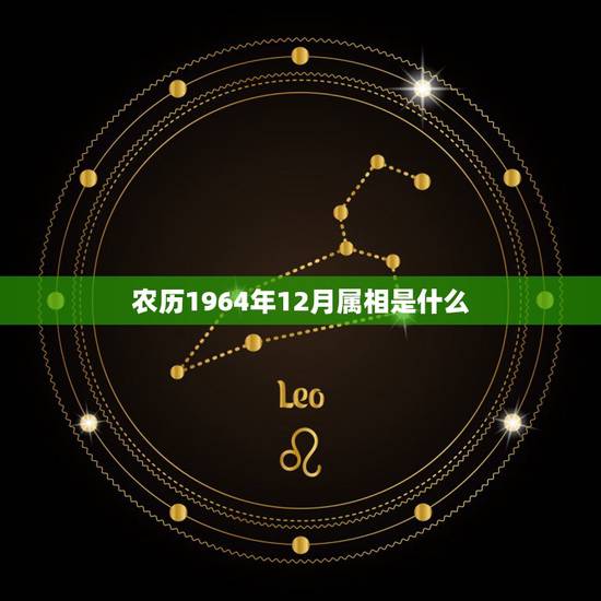 农历1964年12月属相是什么,1964年出生的人是什么属相 农历1964年12月属相是什么,1964年出生的人是什么属相