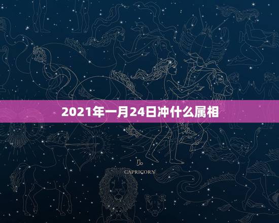 2021年一月24日冲什么属相，2021属什么生肖，2021是什么生肖