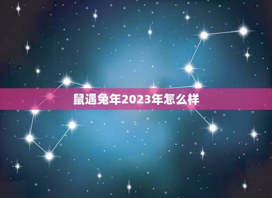 鼠遇兔年2023年怎么样，属鼠人2023年学业运势