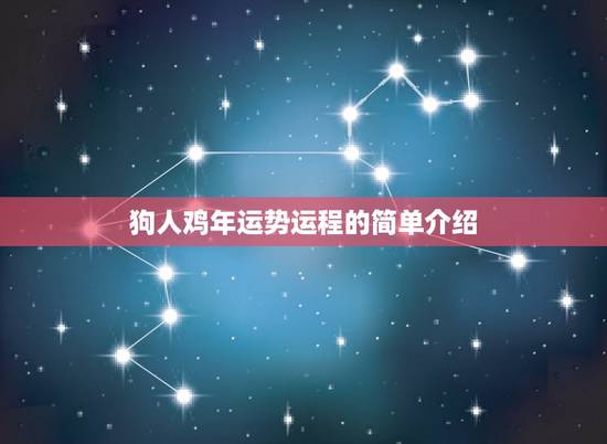 狗人鸡年运势运程的简单介绍 狗人鸡年运势运程的简单介绍