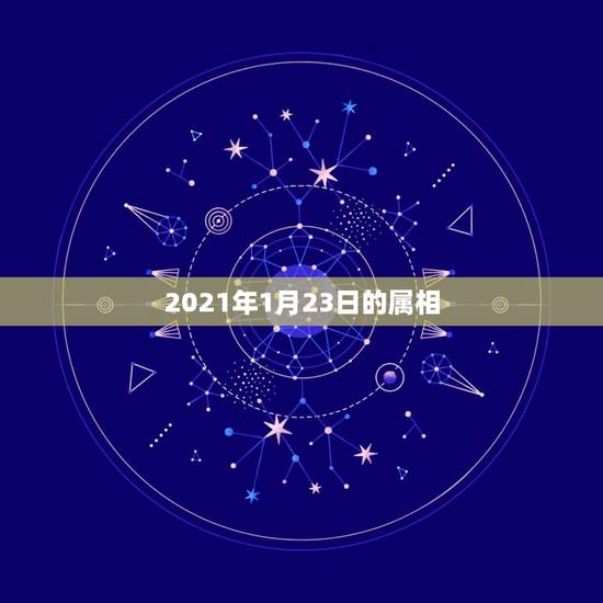 2021年1月23日的属相，2021年是什么生肖年