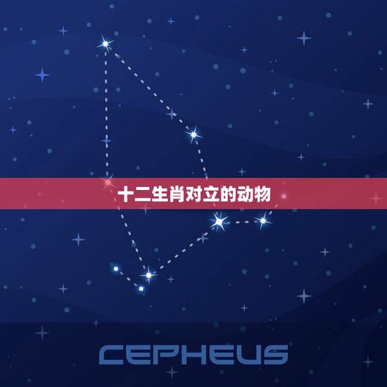 十二生肖对立的动物，十二生肖婚姻配对大全