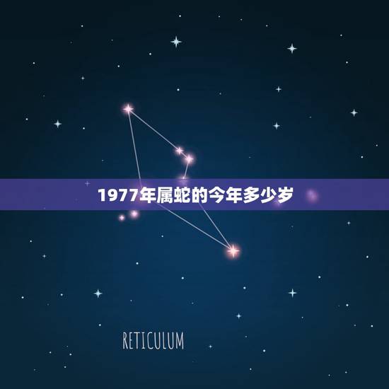 1977年属蛇的今年多少岁，属蛇的人今年几岁了？