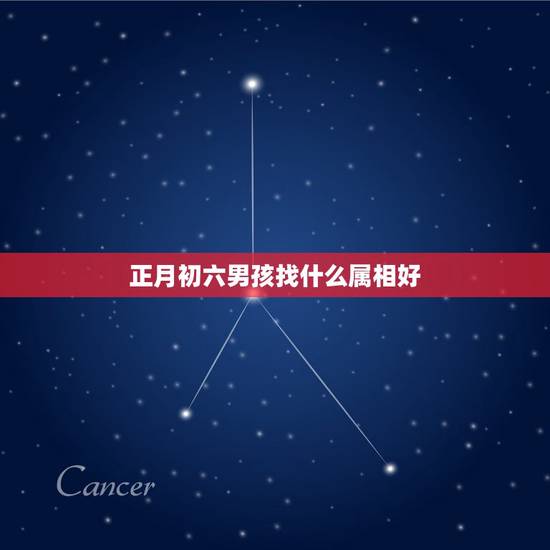 正月初六男孩找什么属相好,六五年正月初六生的女人和什么属相的男子结婚好 正月初六男孩找什么属相好,六五年正月初六生的女人和什么属相的男子结婚好