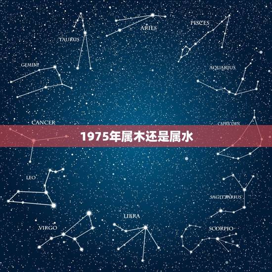 1975年属木还是属水，1975年出生的是什么命的人 （金 木 水 火