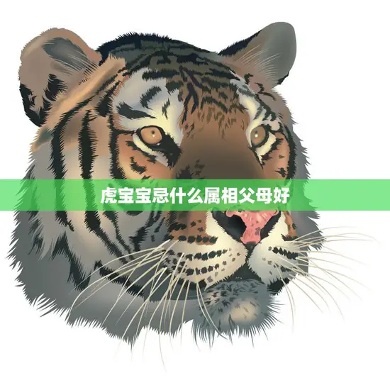 虎宝宝忌什么属相父母好(如何避免不利属相影响) 虎宝宝忌什么属相父母好(如何避免不利属相影响)
