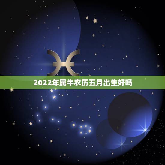 2022年属牛农历五月出生好吗,农历12月牛好么 2022年属牛农历五月出生好吗,农历12月牛好么