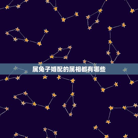 属兔子婚配的属相都有哪些，属兔子和什么相配好