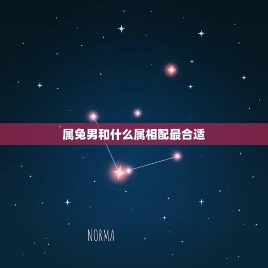 属兔男和什么属相配最合适,男属兔婚配怎么好 属兔男和什么属相配最合适,男属兔婚配怎么好