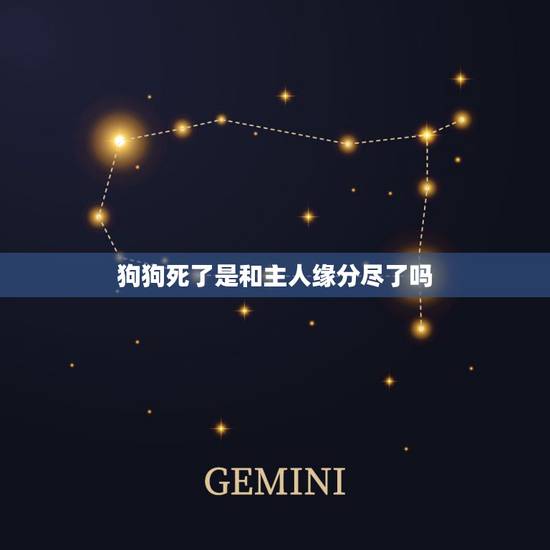 狗狗死了是和主人缘分尽了吗，家里来了八个月的流浪狗突然被车撞死了是缘分