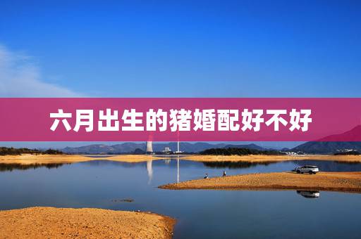 六月出生的猪婚配好不好，属猪的属相婚配表 揭秘和什么属相最配