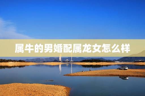 属牛的男婚配属龙女怎么样,属牛的男和属龙的女相配吗? 属牛的男婚配属龙女怎么样,属牛的男和属龙的女相配吗?