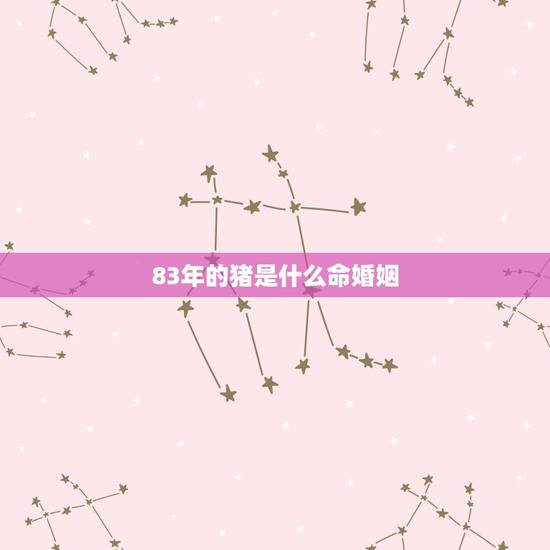 83年的猪是什么命婚姻，83年属猪男2022 年婚姻状况