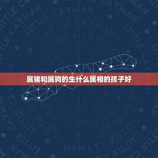 属猪和属狗的生什么属相的孩子好,我属狗,老婆属猪,请高师指点生个什么属 属猪和属狗的生什么属相的孩子好,我属狗,老婆属猪,请高师指点生个什么属