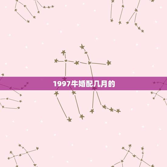 1997牛婚配几月的，97属牛的属相婚配表女