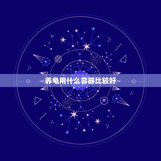 养龟用什么容器比较好，用什么容器养小乌龟