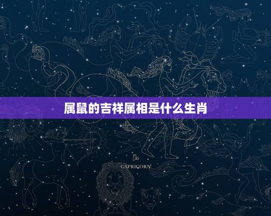 属鼠的吉祥属相是什么生肖,属鼠的和什么属相最配 属鼠的吉祥属相是什么生肖,属鼠的和什么属相最配