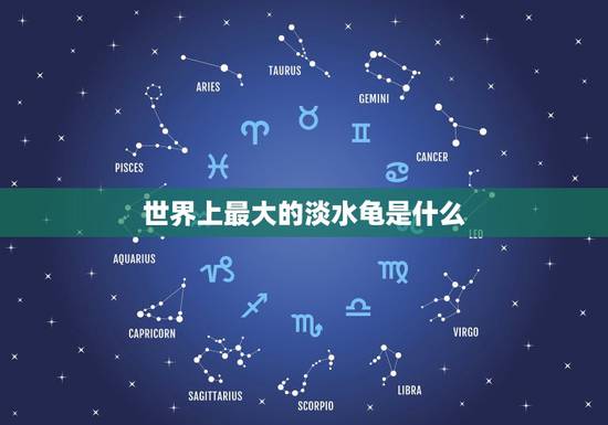 世界上最大的淡水龟是什么，世界上最大的乌龟有多大？