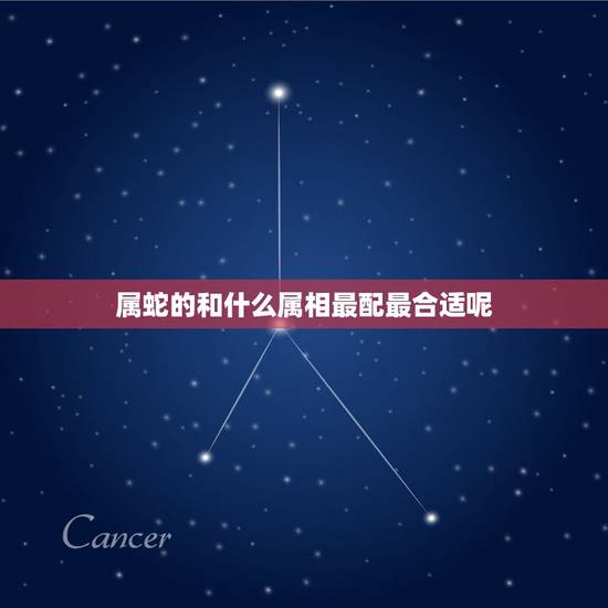 属蛇的和什么属相最配最合适呢，属蛇的和什么属相最配最合适呢电动车被偷