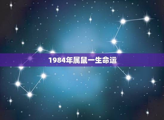 1984年属鼠一生命运，84年属鼠36岁以后的一生命运