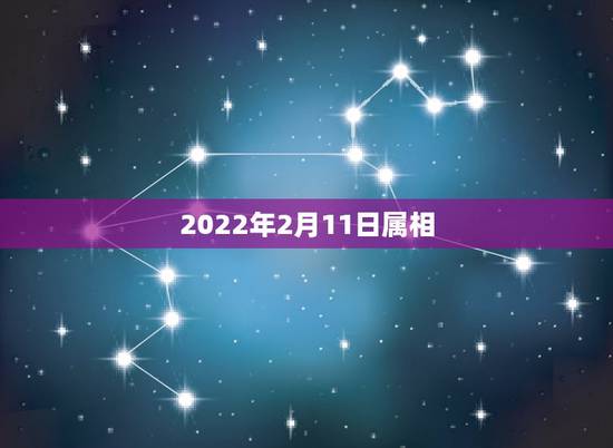 2022年2月11日属相,2022 年农历腊月搬家吉日 2022年2月11日属相,2022 年农历腊月搬家吉日