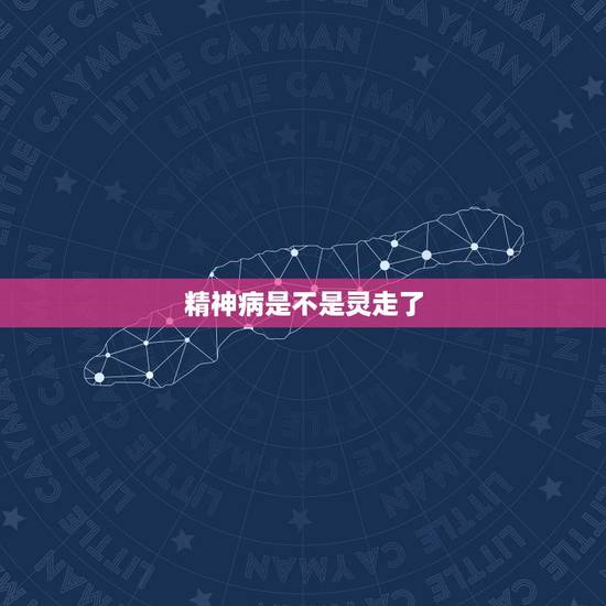 精神病是不是灵走了，有精神的人死后灵是正常的吗？