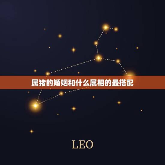 属猪的婚姻和什么属相的最搭配，婚姻猪配什么更好生肖