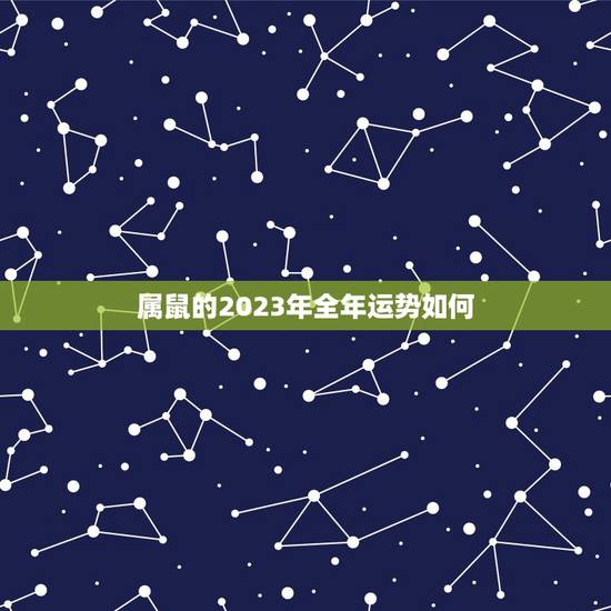 属鼠的2023年全年运势如何,2008年属鼠在2023年学业运势 属鼠的2023年全年运势如何,2008年属鼠在2023年学业运势