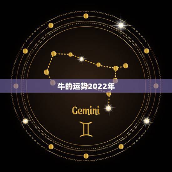 牛的运势2022年，73年属牛49岁2022年的运势