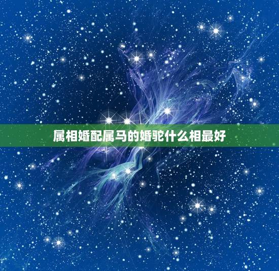 属相婚配属马的婚驼什么相最好,属马的和什么属相最配 属马的属相婚配表 属相婚配属马的婚驼什么相最好,属马的和什么属相最配 属马的属相婚配表