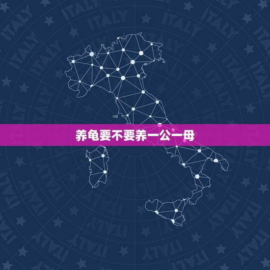 养龟要不要养一公一母，养龟是一公母好，还是一公两母好