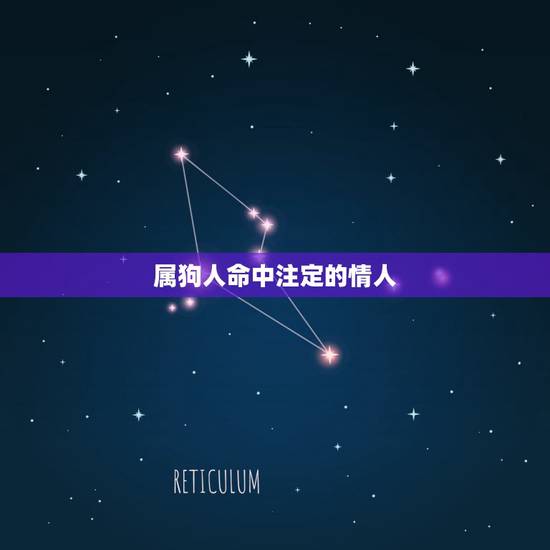 属狗人命中注定的情人，属狗男对待婚外情态度