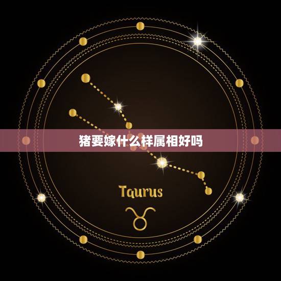 猪要嫁什么样属相好吗,属猪的,配什么,属相的好 猪要嫁什么样属相好吗,属猪的,配什么,属相的好