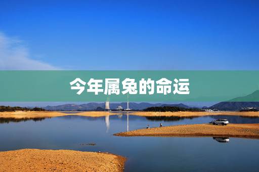 今年属兔的命运，属兔几月份命好
