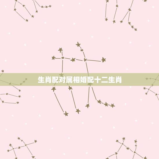 生肖配对属相婚配十二生肖,生肖鼠跟什么最配,属鼠的属相婚配表 生肖配对属相婚配十二生肖,生肖鼠跟什么最配,属鼠的属相婚配表