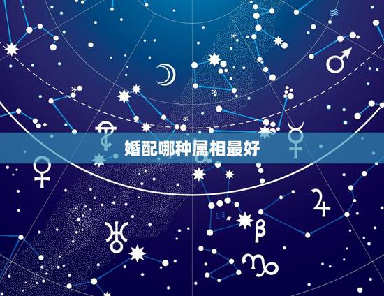 婚配哪种属相最好,属相婚配女的属龙和什么属相最好 婚配哪种属相最好,属相婚配女的属龙和什么属相最好