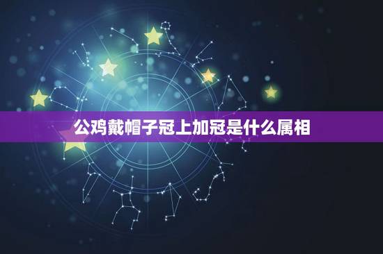 公鸡戴帽子冠上加冠是什么属相,鸡戴帽子——冠上加冠怎么理解 公鸡戴帽子冠上加冠是什么属相,鸡戴帽子——冠上加冠怎么理解