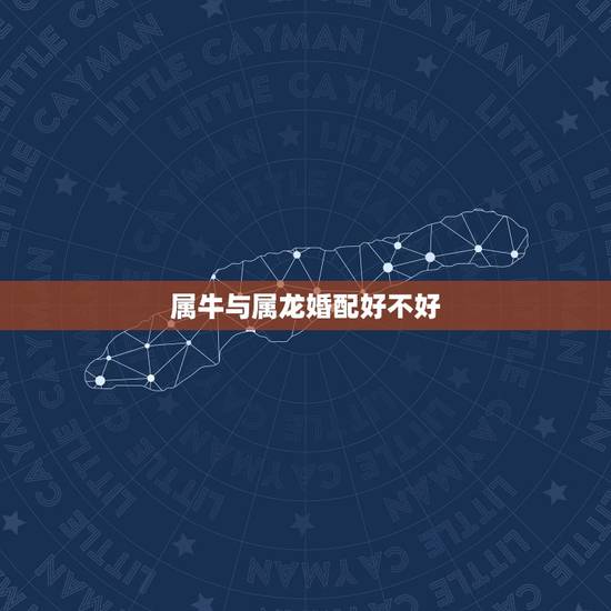 属牛与属龙婚配好不好,属牛能和属龙的在一起吗 属牛与属龙婚配好不好,属牛能和属龙的在一起吗