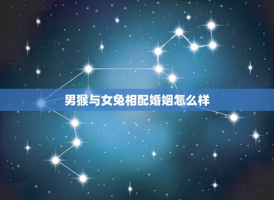 男猴与女兔相配婚姻怎么样,男牛女兔婚姻是否相配 男猴与女兔相配婚姻怎么样,男牛女兔婚姻是否相配