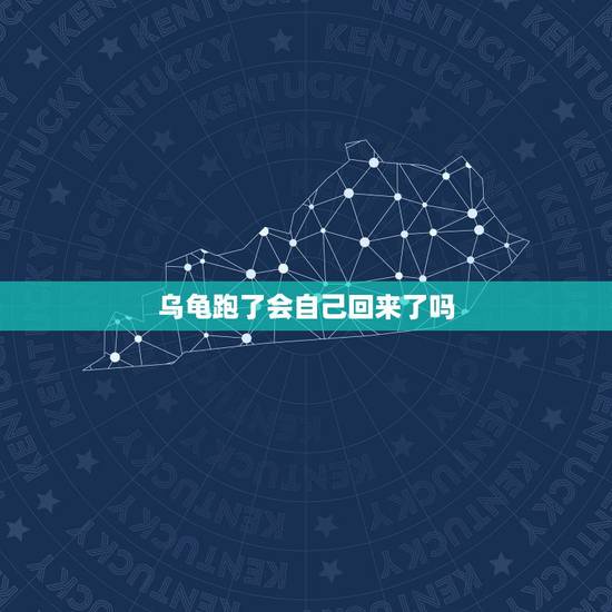 乌龟跑了会自己回来了吗，走了一 年的龟又找回来了，请问好吗？